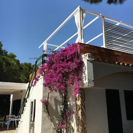 La Mandioca Calafat